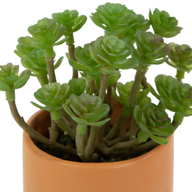 Mini Artificial Succulent In Face Planter Pot