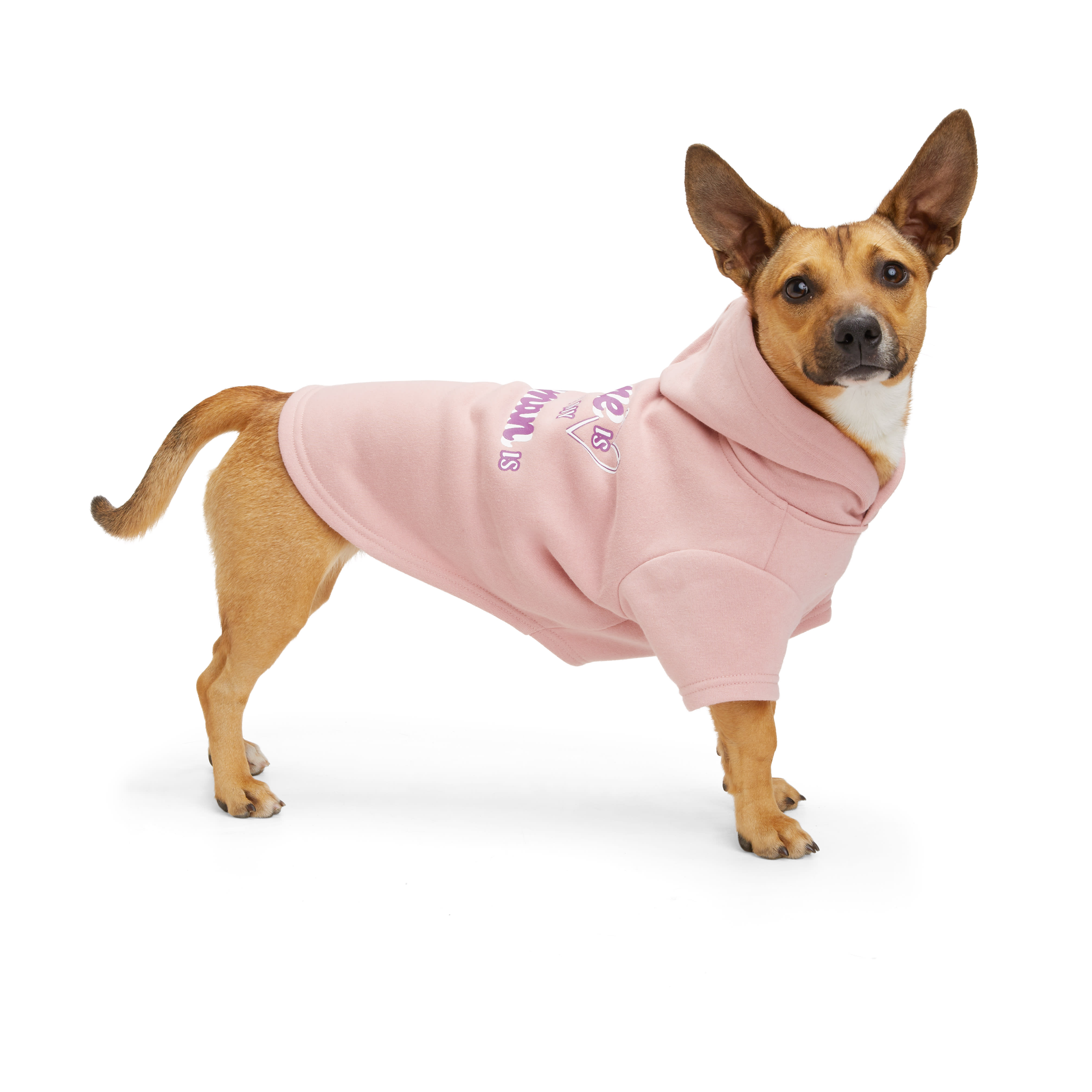 YOULY Home Dog Hoodie， XX-Small