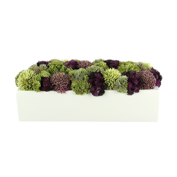 Sedum and Thistle Arranged in Rectangular Planter