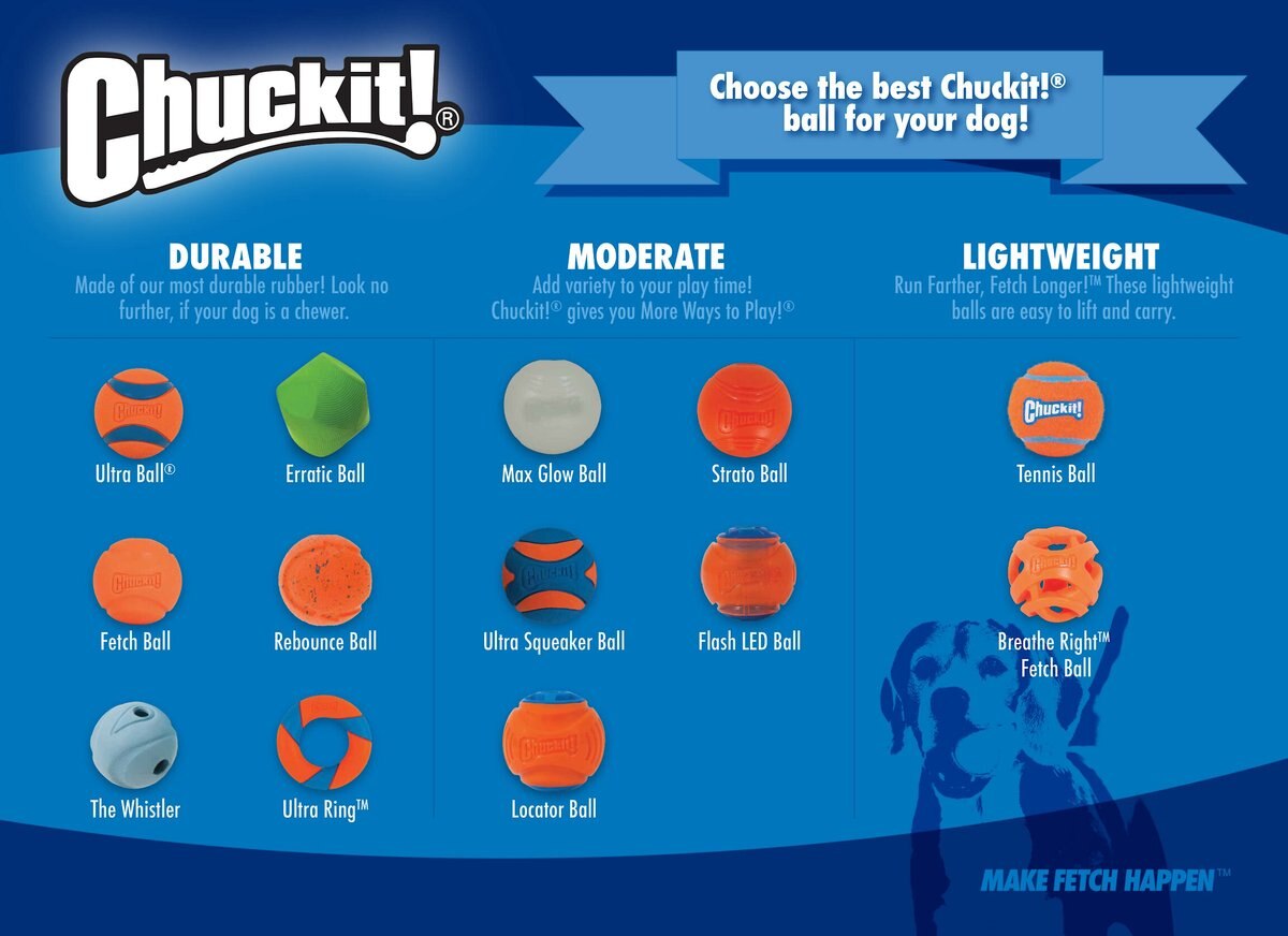 Chuckit! Air Fetch Ball Dog Toy