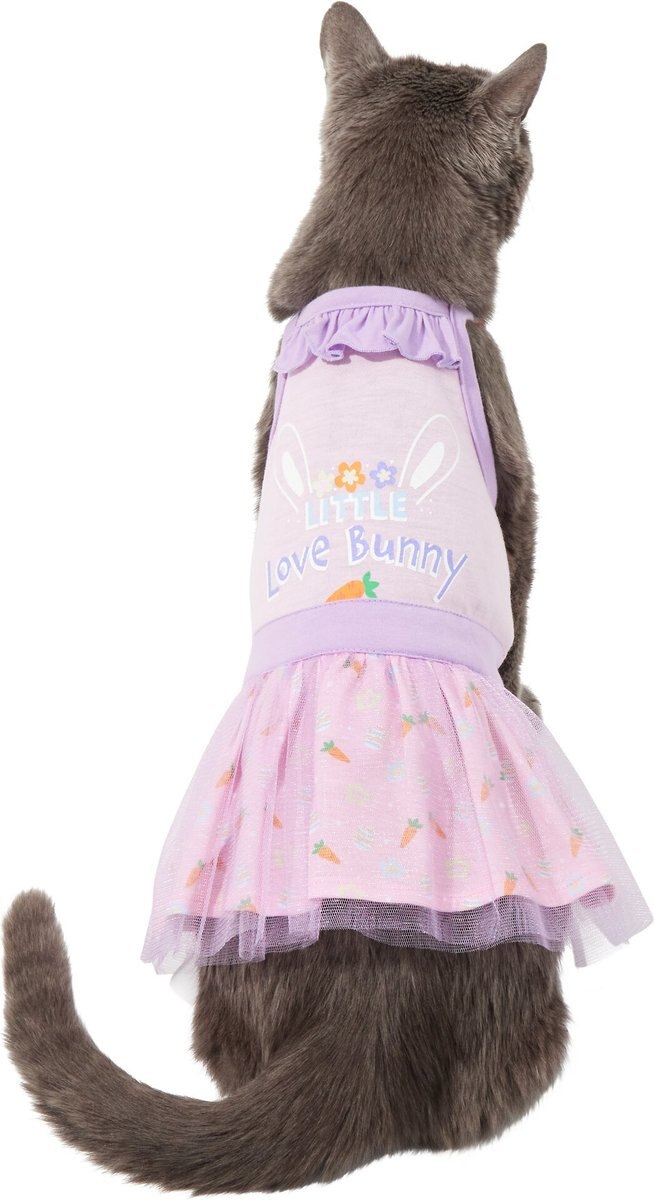 Frisco Love Bunny Dog and Cat Dress