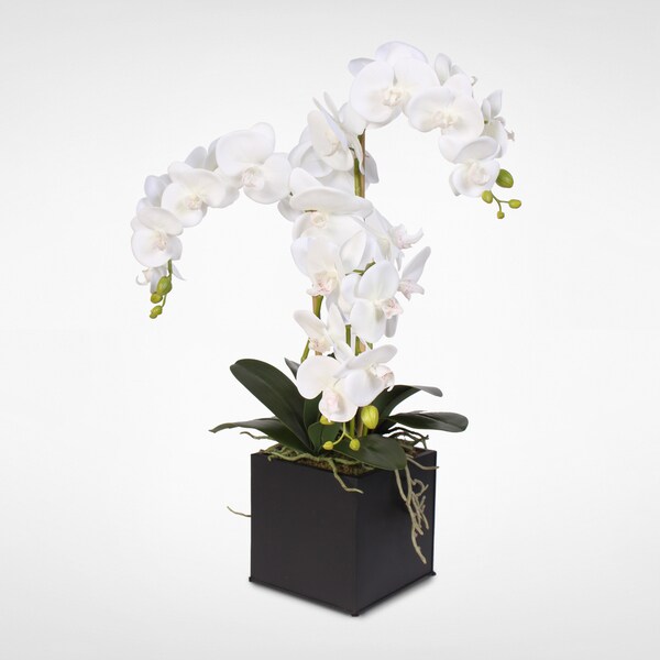 Real Touch Phalaenopsis Silk Orchids in a Metal Planter