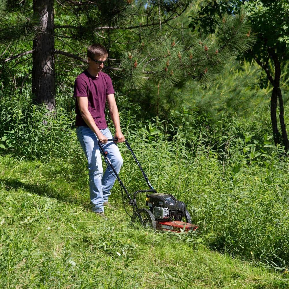 Toro 58620 22 in. 163cc Walk Behind String Mower， Cutting Swath with 4-Cycle Briggs and Stratton Engine