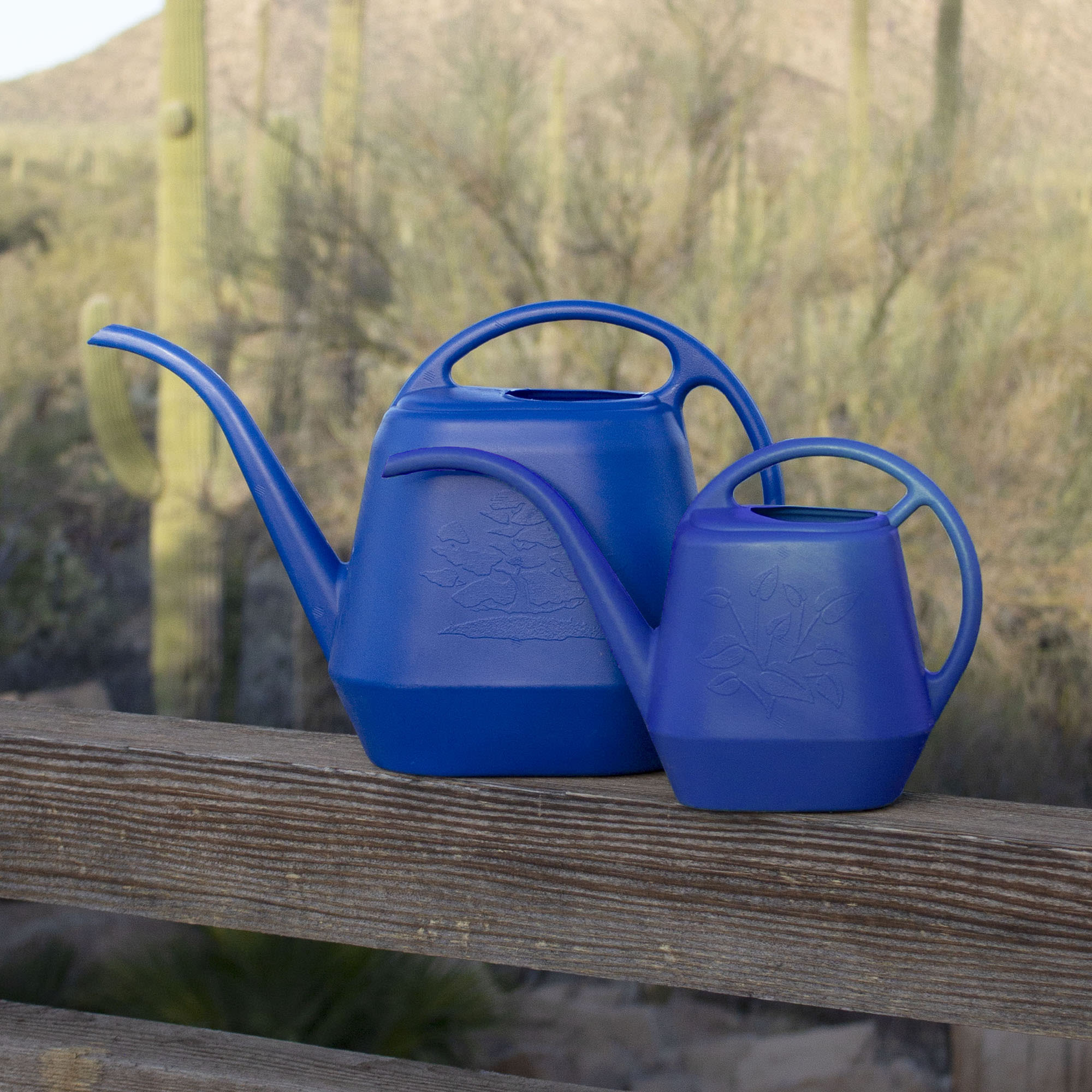 Bloem Aqua Rite Watering Can: 56 Oz - Classic Blue - Large Capacity, Extra Long Spout, High Quality & Durable Plastic, One Piece Construction, For Indoor & Outdoor Use, Gardening