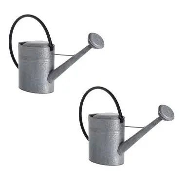 Metal flower Water Can Premium Quality Wholesale Luxury Can Best Selling Inexpensive Galvanized Water Cane