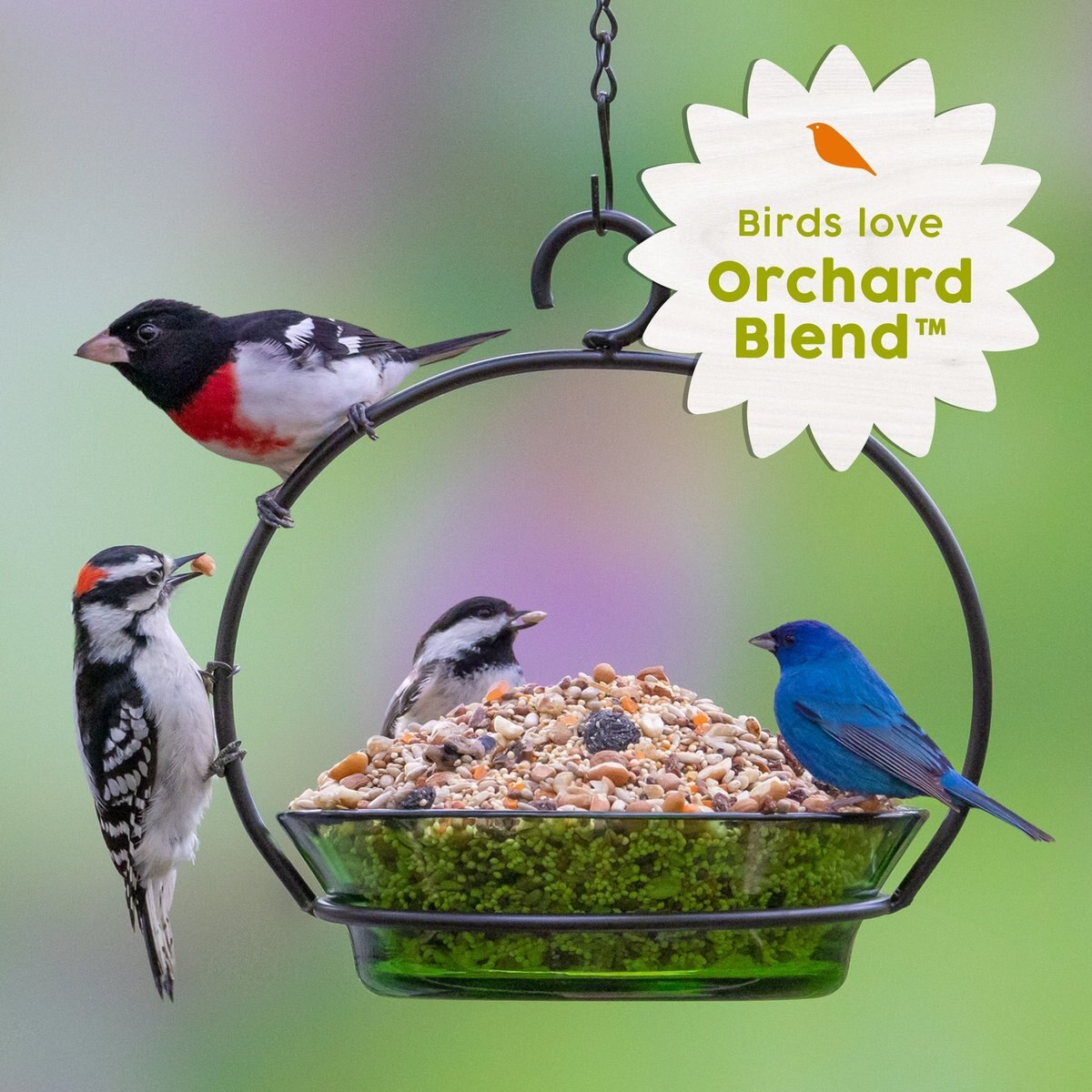 Harvest Seed and Supply Orchard Blend Wild Bird Food， 8-lb bag