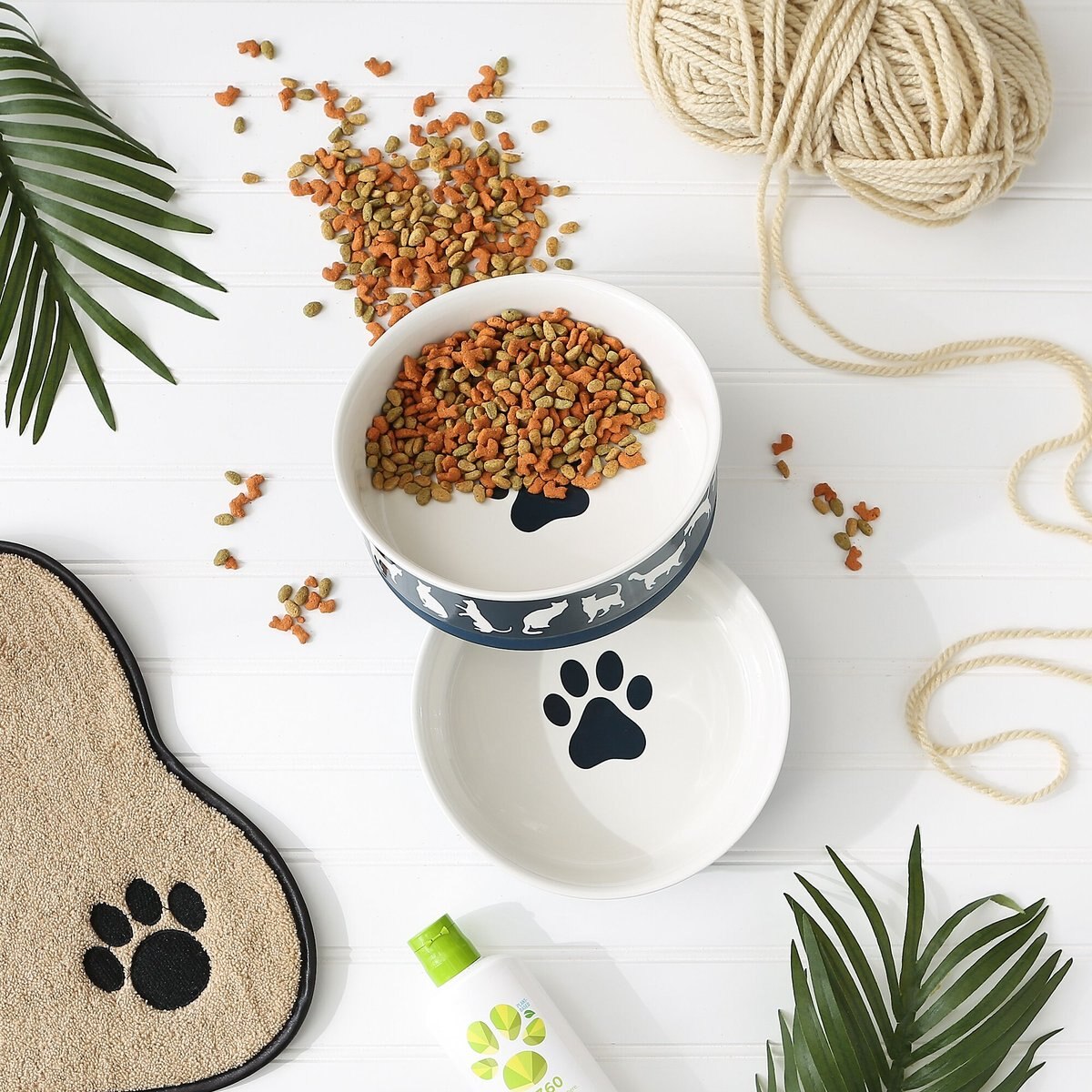 Bone Dry Meow Set Cat Bowl