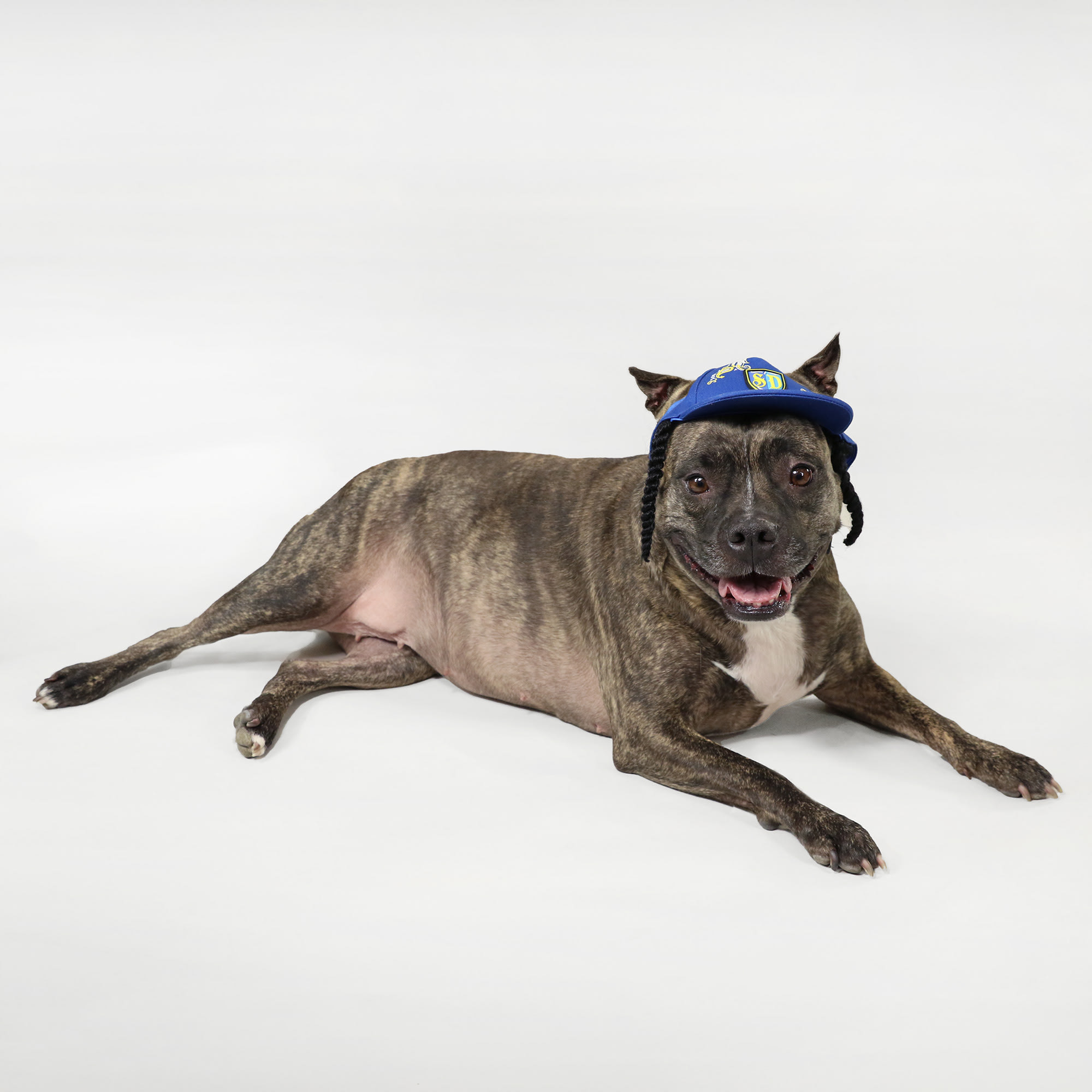 Snoop Doggie Doggs Blue Halftime Deluxe Pet Baseball Hat， X-Small