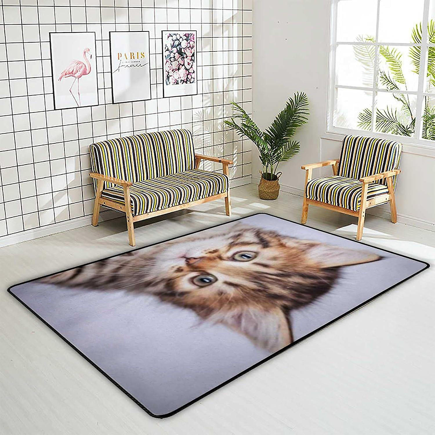 Soft Area Rugs Fantasy Unicorn In Romantic Frame Floor Carpet Mat For Kids Playing Room Hardwood Floor Living Room 80x58in