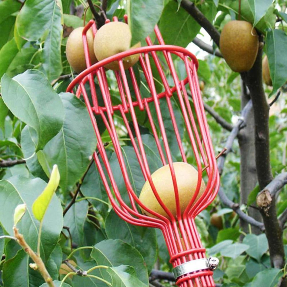 Harupink Fruit Picker, Pole with Basket Apple Orange Picker Tool Gardening Picks with Lightweight Stainless Steel Connecting Pole