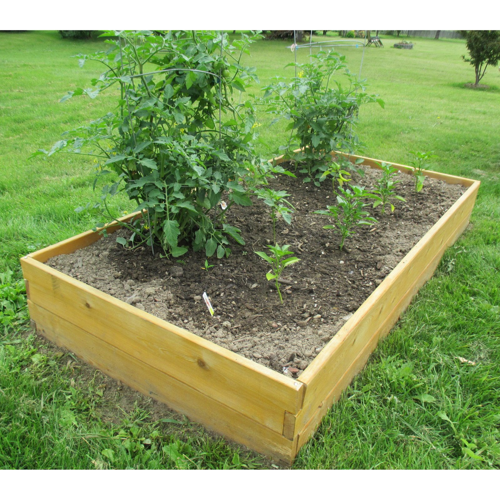 Infinite Cedar 3 ft W x 3 ft L x 11 inches Ht Raised Garden Bed Kit