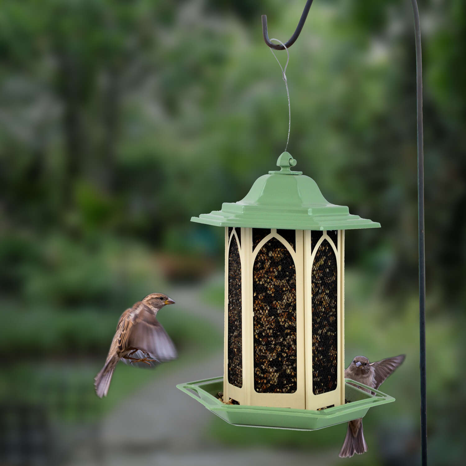 Perky-Pet Wild Bird and Finch 3.5 lb Metal/Plastic Gazebo Bird Feeder