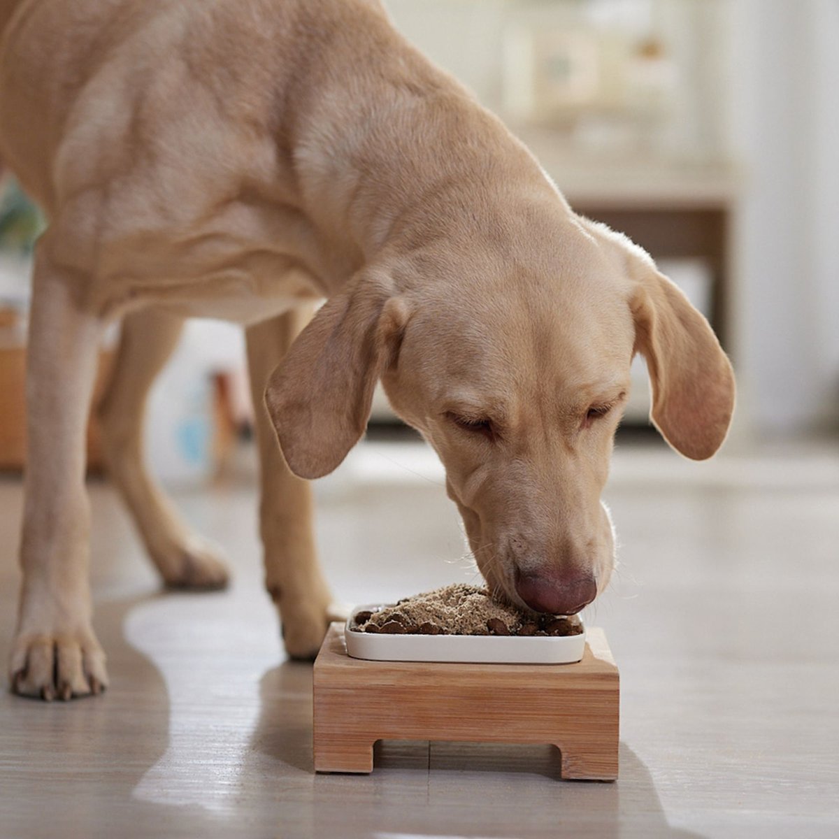 Stella and Chewy's Marie's Magical Dinner Dust Freeze-Dried Raw Cage-Free Chicken Dog Food Topper