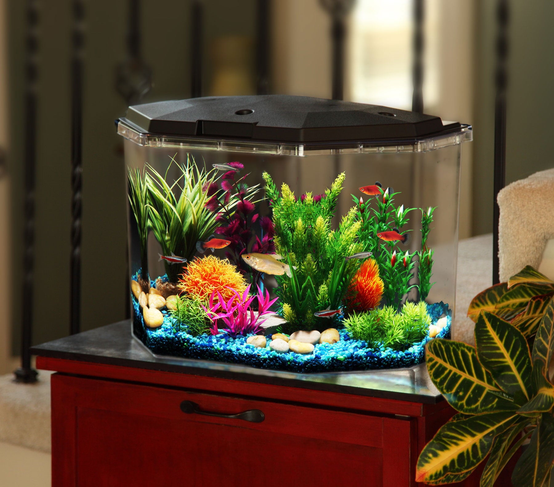 KollerCraft Smart Tank 6.5-Gallon Aquarium Kit， Create Custom LED Light Colors， Monitor Tank Temperature， Schedule Maintenance Reminders and Alerts Easily From Your iPhone or Android