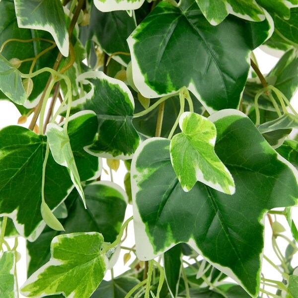 30 Variegated Ivy Artificial Hanging Floral Bush