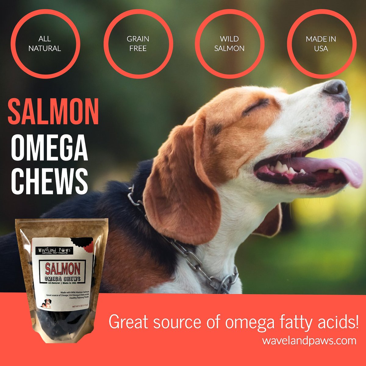 Waveland Paws Omega Chews Salmon Grain-Free Dog Treats， 4-oz bag