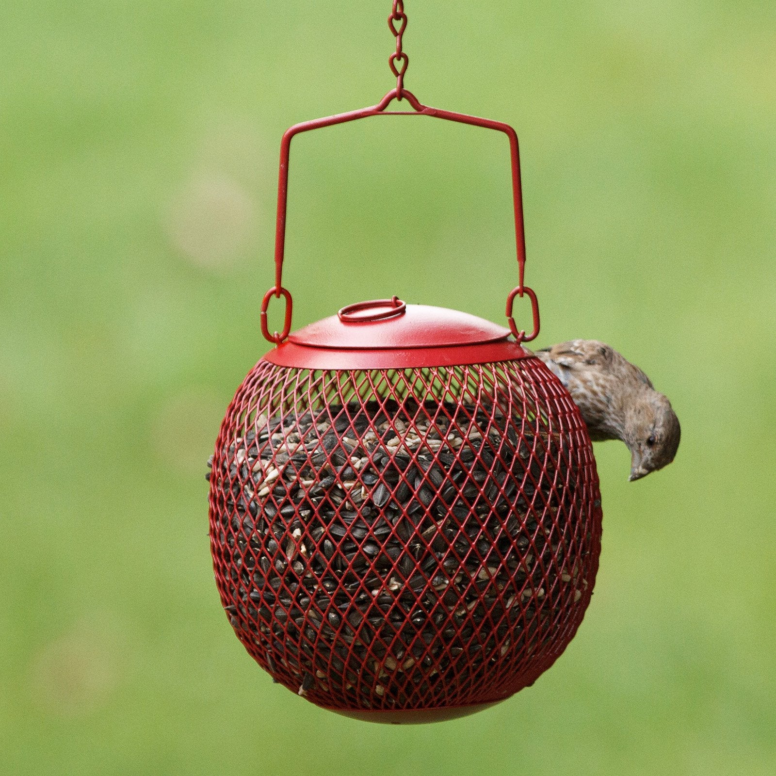 Perky-Pet Green Seed Ball Wild Bird Feeder