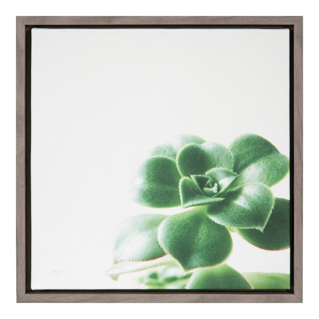 X 16 quot Succulent Simplicity Viii Neutral Framed Canvas Wall Art Amanti Art