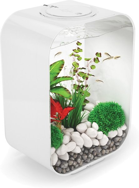 biOrb LIFE LED Aquarium， 4-gal