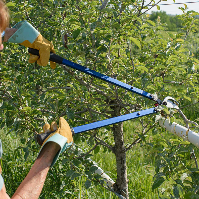 Hickok Bypass Tree Loppers