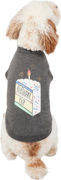 Frisco Birthday Pup Dog and Cat T-Shirt