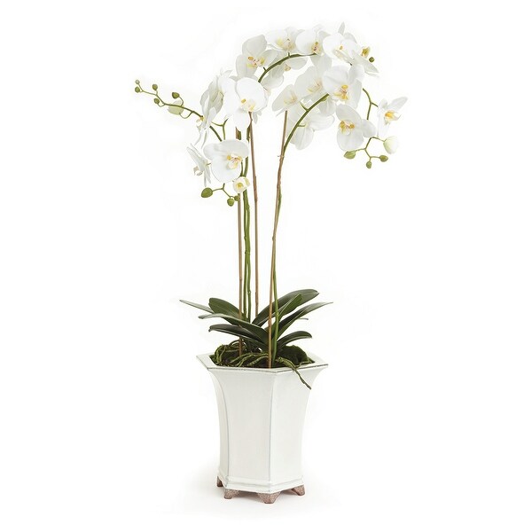 Barclay Butera Phalaenopsis In Ceramic Pot 36