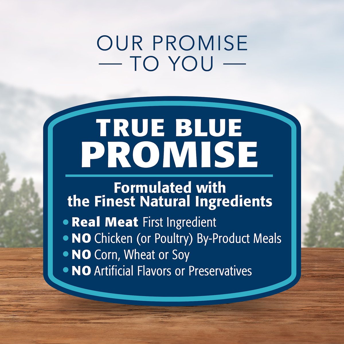 Blue Buffalo Wilderness Salmon Grain-Free Canned Cat Food