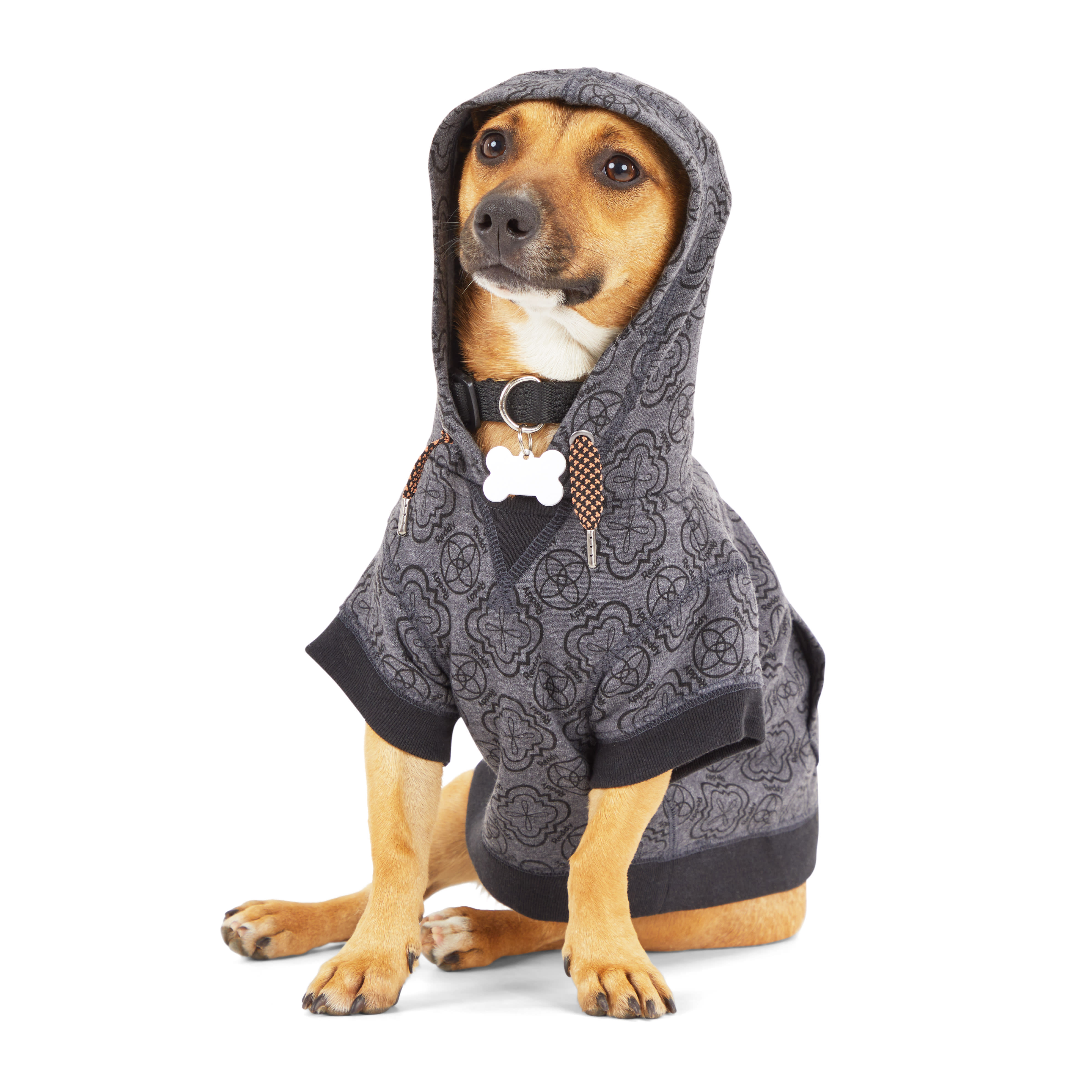 Reddy Charcoal Dog Hoodie， X-Small