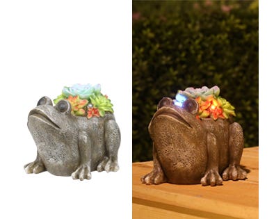 Assorted Alpine Solar Succulent Frog Garden Statue with LED Lights SLL2034SLR