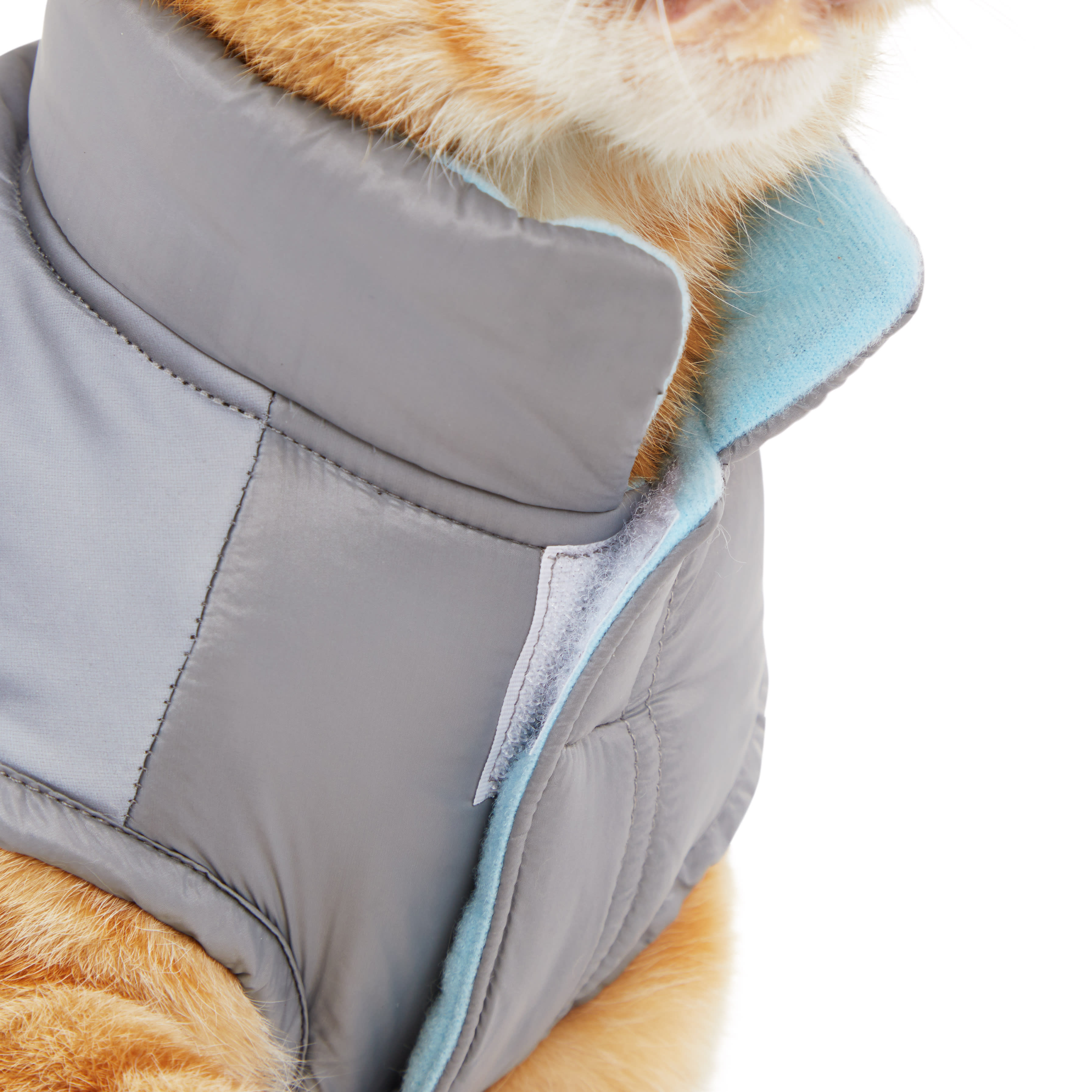 YOULY Gray Cat Puffer， Large/X-Large