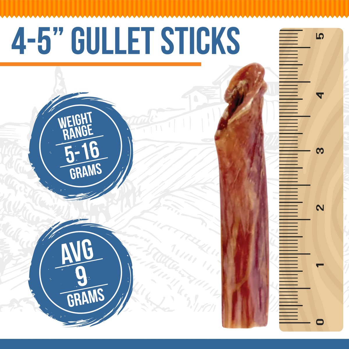 K9warehouse Gullet Sticks 4 to 5-inch Beef Flavored Dog Chews， 16-oz pouch