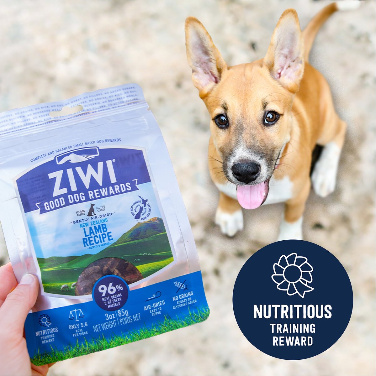 Ziwi Good-Dog Rewards Air-Dried Lamb Dog Treats