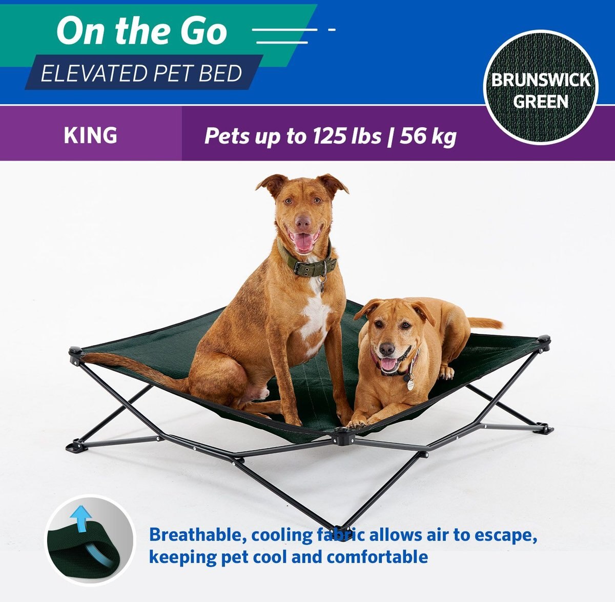 Coolaroo On The Go Elevated Cat and Dog Bed with Removable Cover