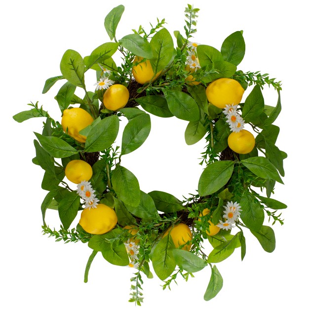 Northlight Lemons And Daisies Artificial Floral Wreath Yellow 20 inch