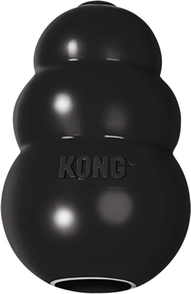 KONG Extreme Dog Toy