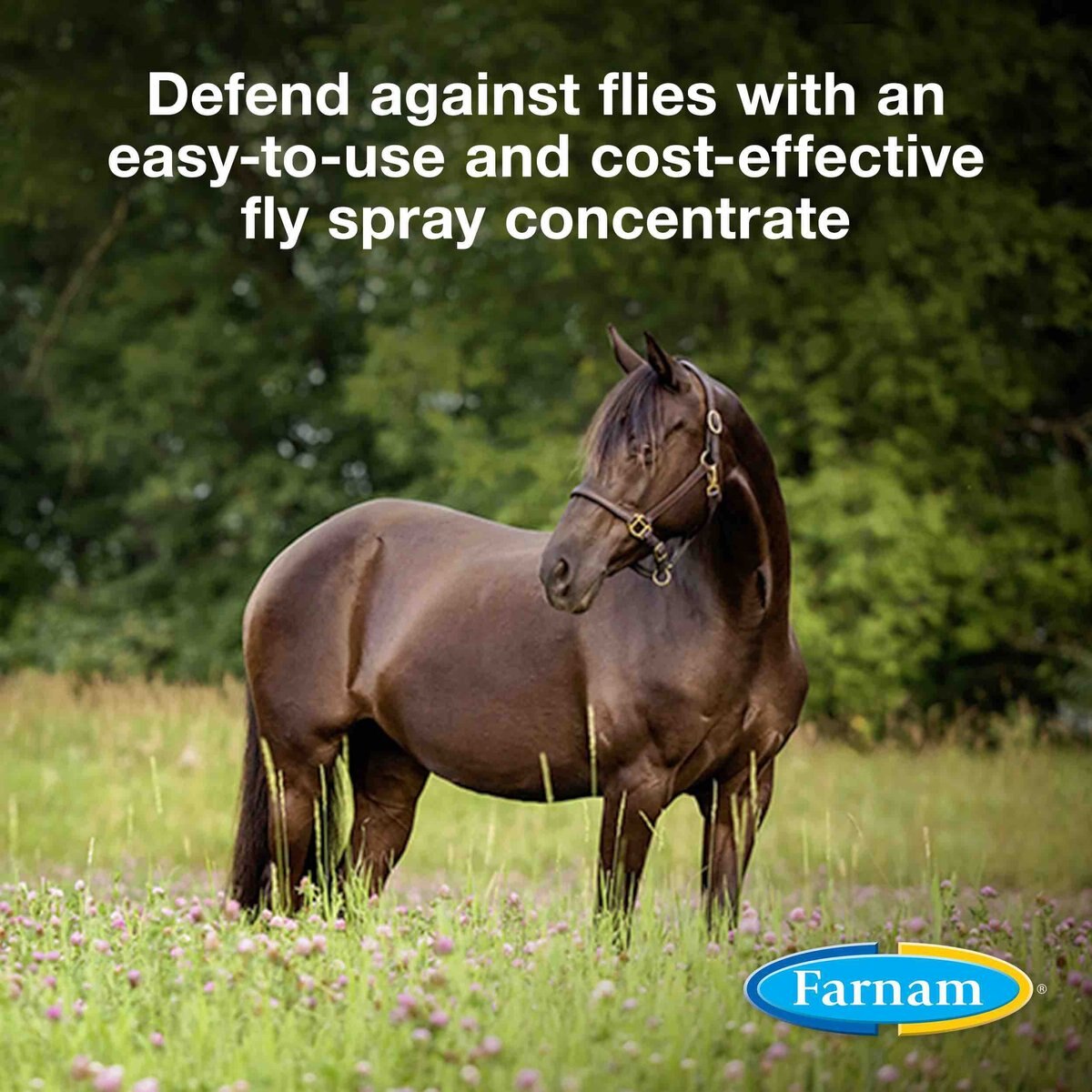 Farnam Repel-X Pe Emulsifiable Fly Repellent Horse Spray， 1-gal jug