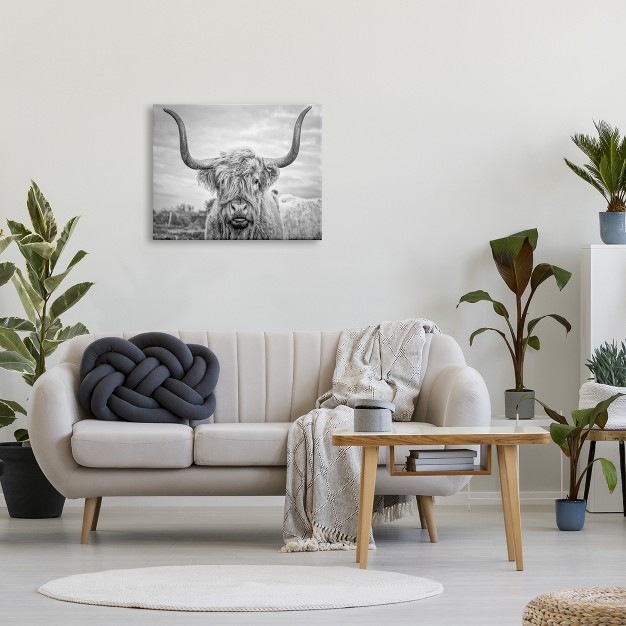 Stupell Industries Black And White Highland Cow Photograph