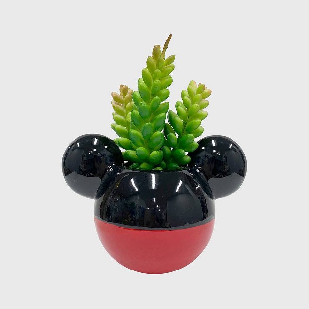 Disney 2pc Indoor outdoor Ceramic Mickey And Minnie Mouse Classic Succulent Set