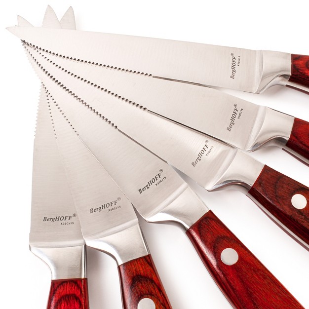 Berghoff Pakka Stainless Steel Steak Knife Set