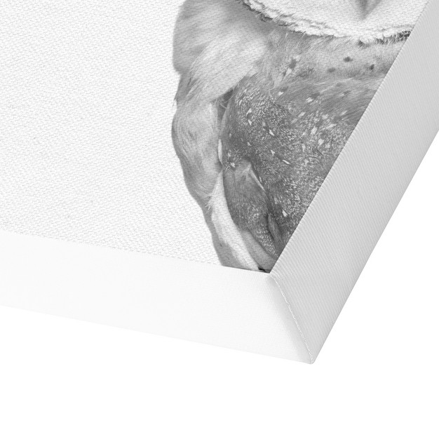 Americanflat Animal Minimalist Barn Owl By Nuada Wrapped Canvas