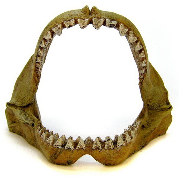 Blue Ribbon Great White Shark Jaws Ornament  3.5L...