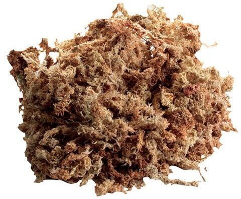 Zoo Med New Zealand Sphagnum Moss Reptile Substrate， 80-in