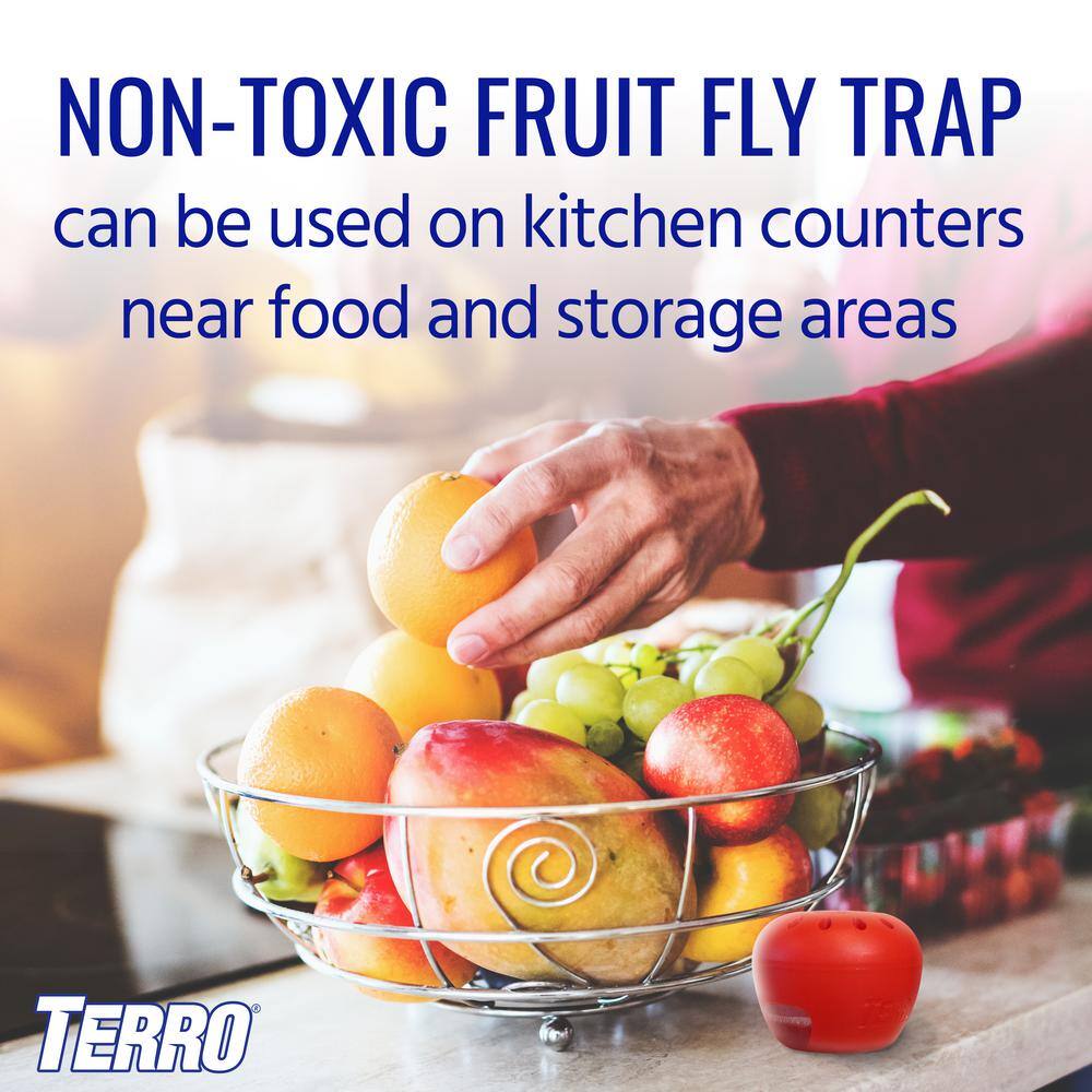 TERRO Ready-to-Use Indoor Fruit Fly Traps with Bait (2-Count) T2502B