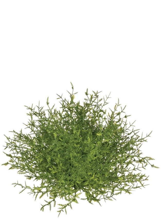 Sullivans Feather Fern Half Orb Decorative Filler