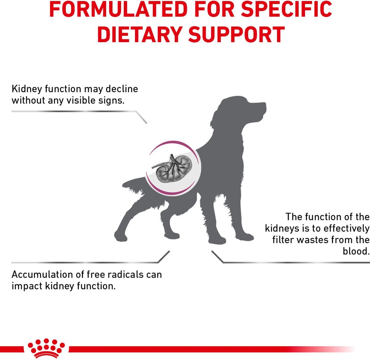 Royal Canin Veterinary Diet Renal Support Early Consult Dry Dog Food