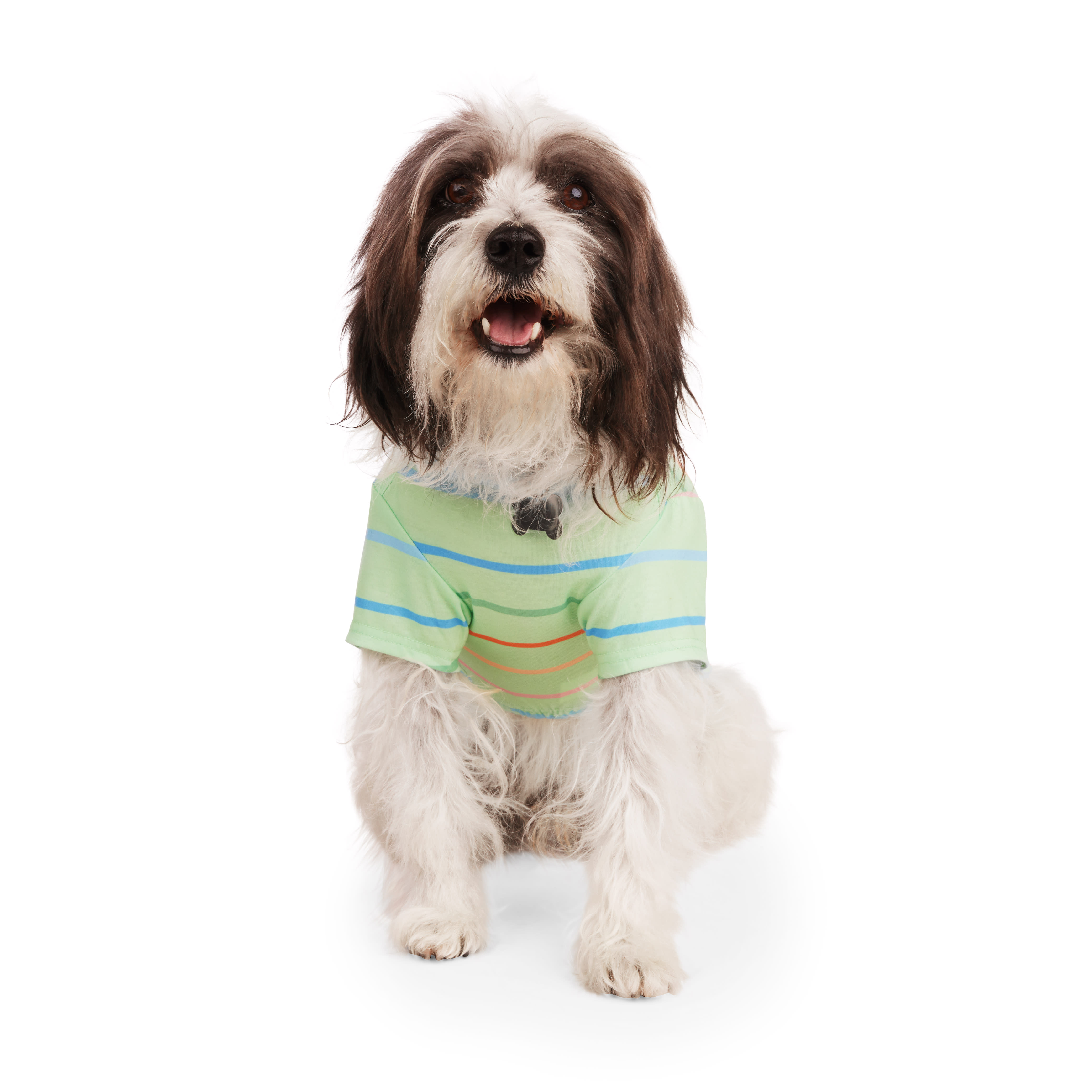 YOULY Green Striped Dog Tee， X-Small