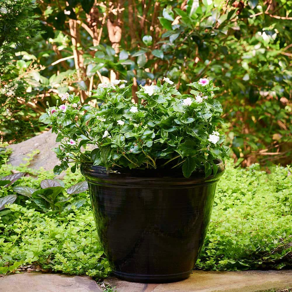 Southern Patio Derby Large 15 in. x 12 in. 20 QT Black High-Density Resin Outdoor Planter HDR-088745