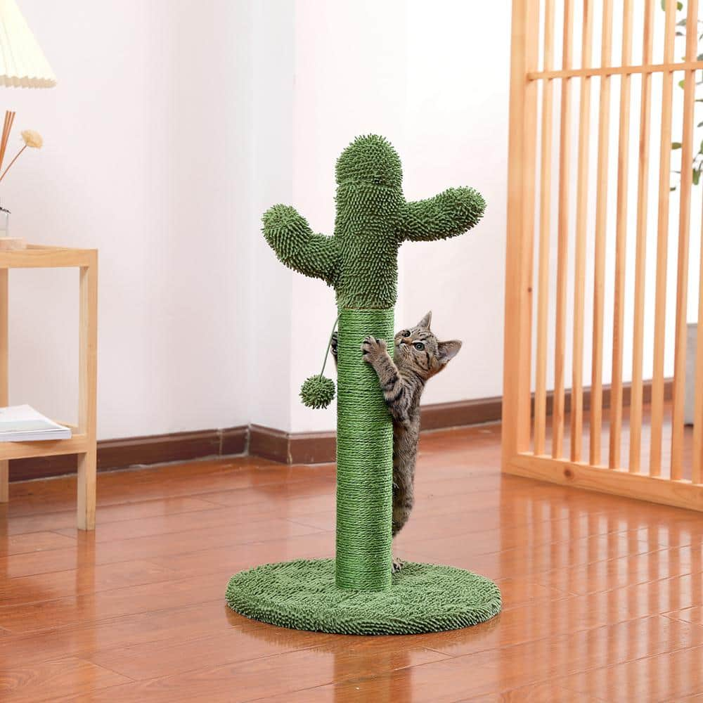 Foobrues 27.60 in. H Lovely Cactus Pet Cats Scratching Posts and Trees with Interactive Ball in Green LNN-P23168373