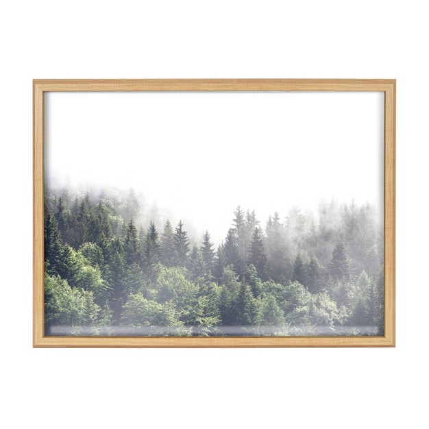 X 24 quot Blake Lush Green Forest On A Foggy Day Framed Printed Glass Natural Kate amp Laurel All Things Decor