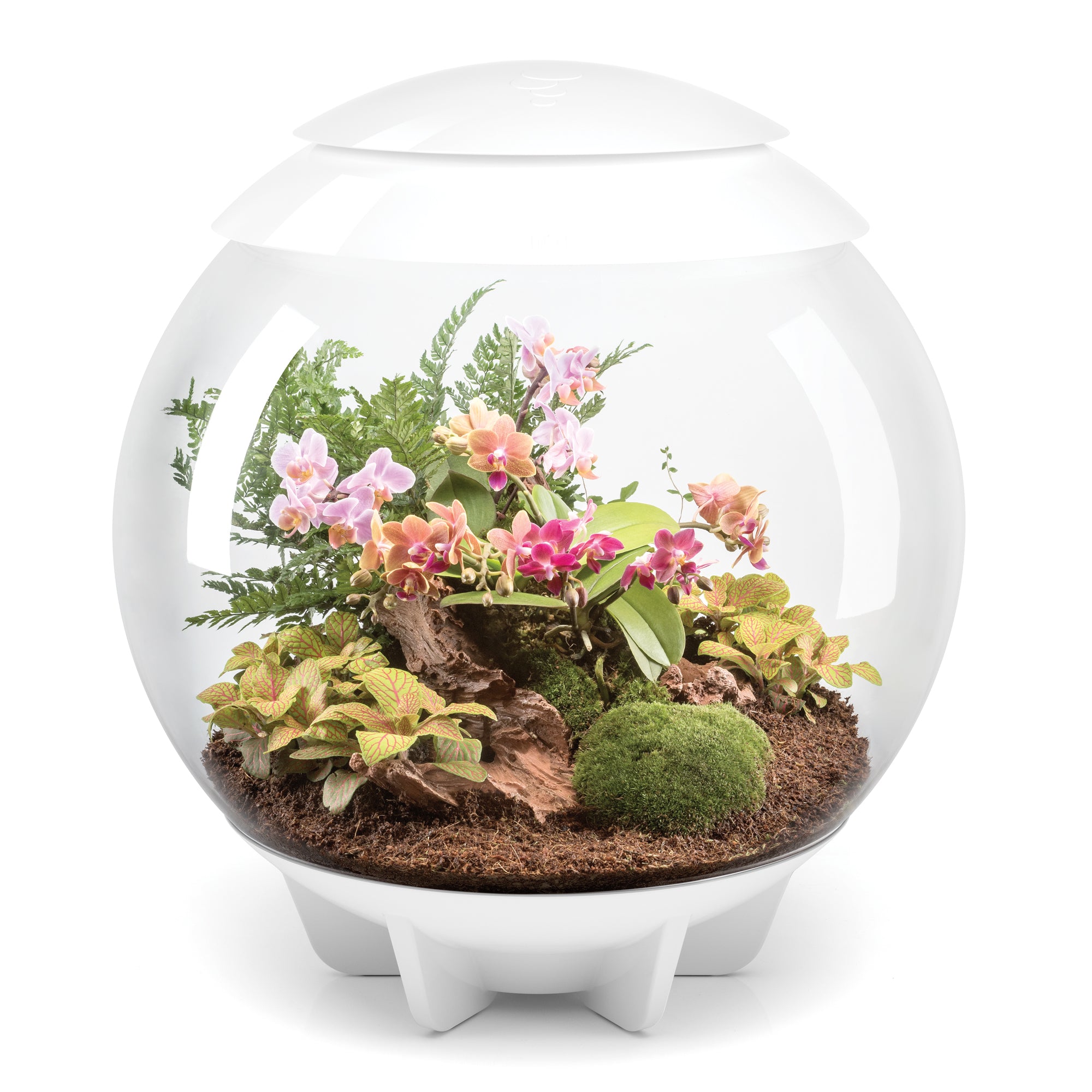 biOrbAIR 60 LED Terrarium - white